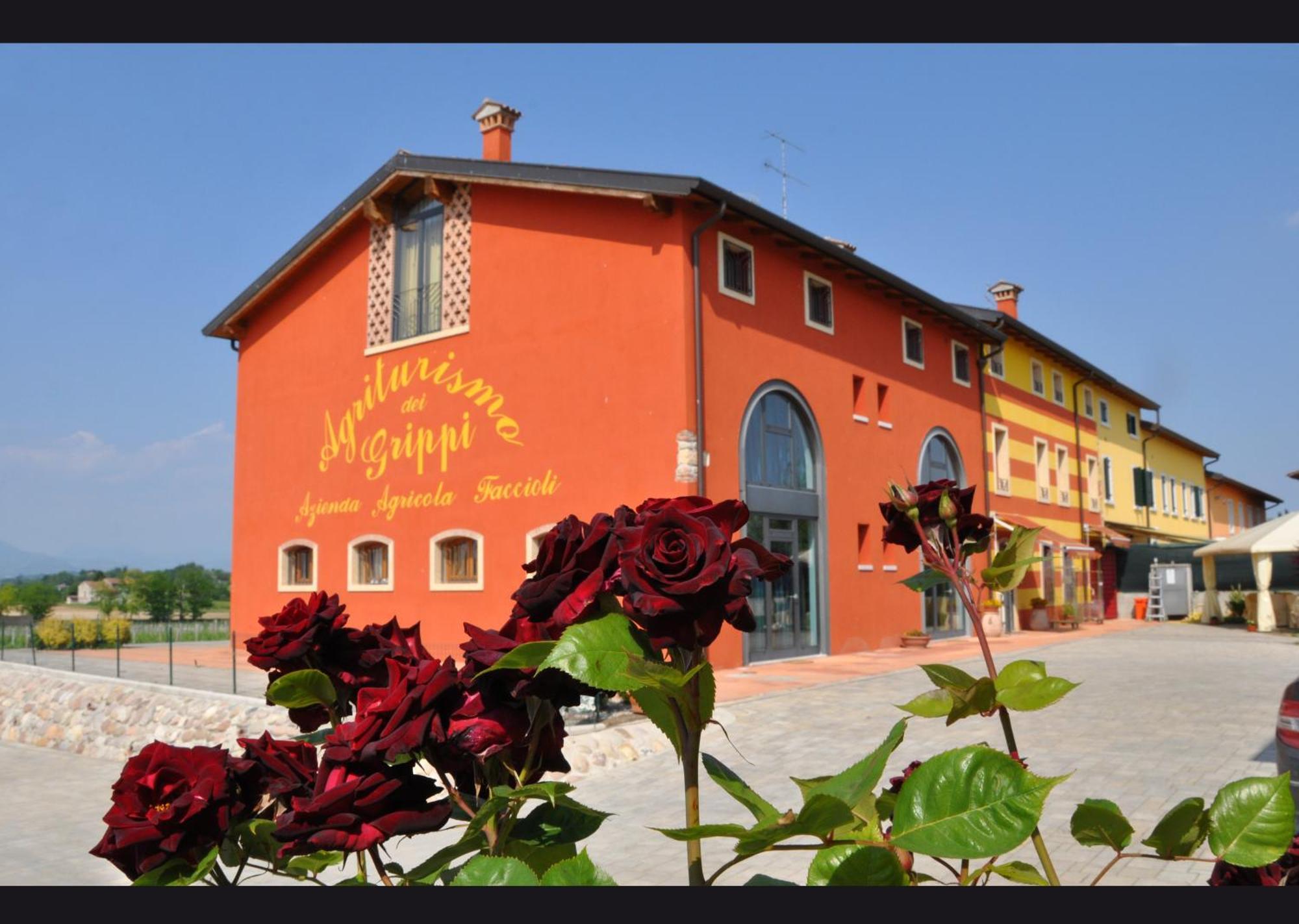 Agriturismo Dei Grippi 소나 외부 사진