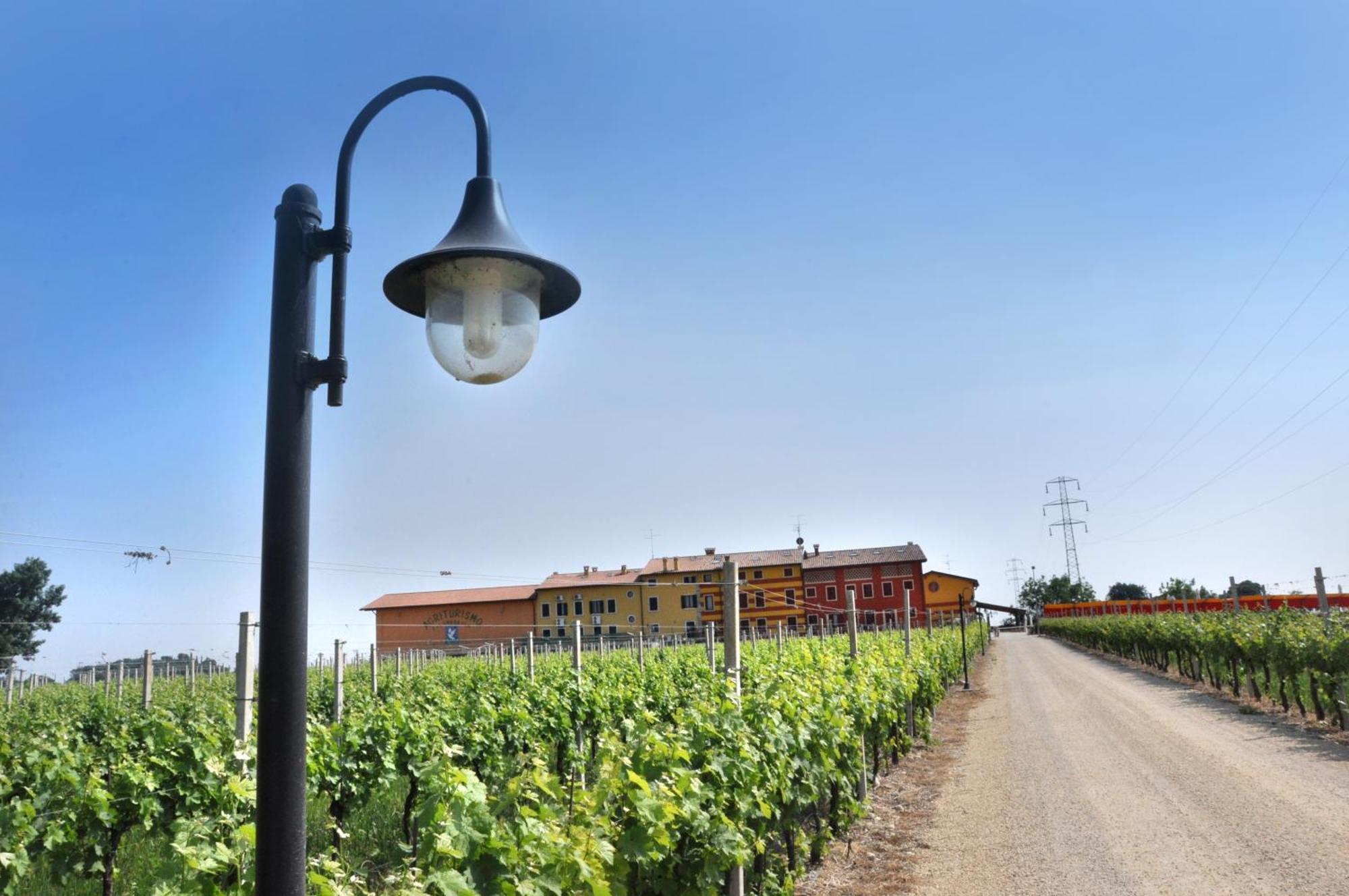 Agriturismo Dei Grippi 소나 외부 사진
